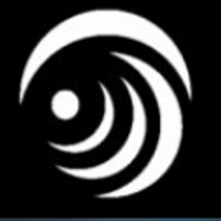 inelmatic
